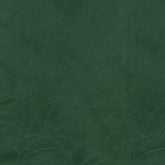 Roselee Hunter Green Color—Premium Quality—59/60" Inches Wide—Available by the Yard—Nationwide Shipping